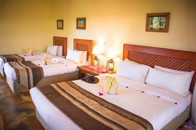 MARERA VALLEY LODGE – Bougainvillea Group of Lodges